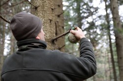 Bez siatek na zakupy i mocnego makijażu. Tak mieli wyglądać leśnicy
