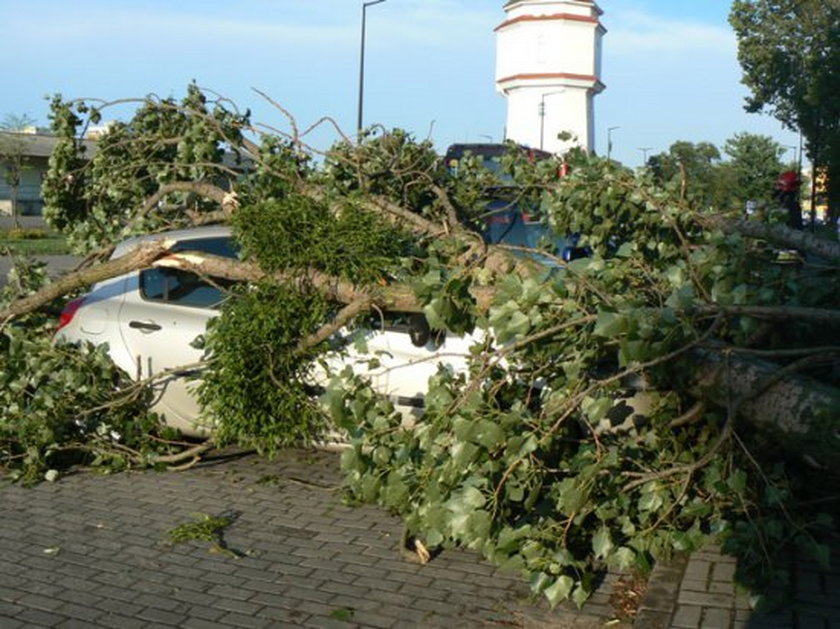 Wielkopolska spustoszona po niedzielnej nawałnicy