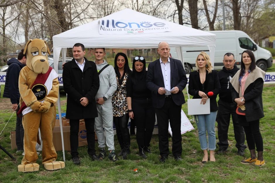 Izložba pasa mešanaca