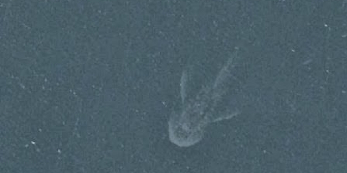 Potwór z Loch Ness zdjęcia.