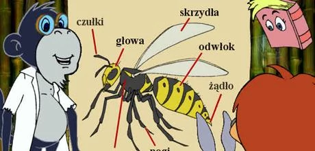 Screen z gry "Królik Bystrzak Dla Drugoklasisty"