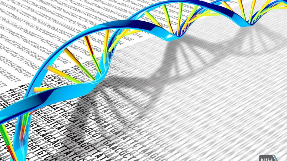 Rozsiewamy wokół siebie dobrej jakości DNA