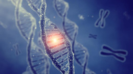 MikroRNA: cząsteczka, która potrafi zahamować replikację ludzkich koronawirusów