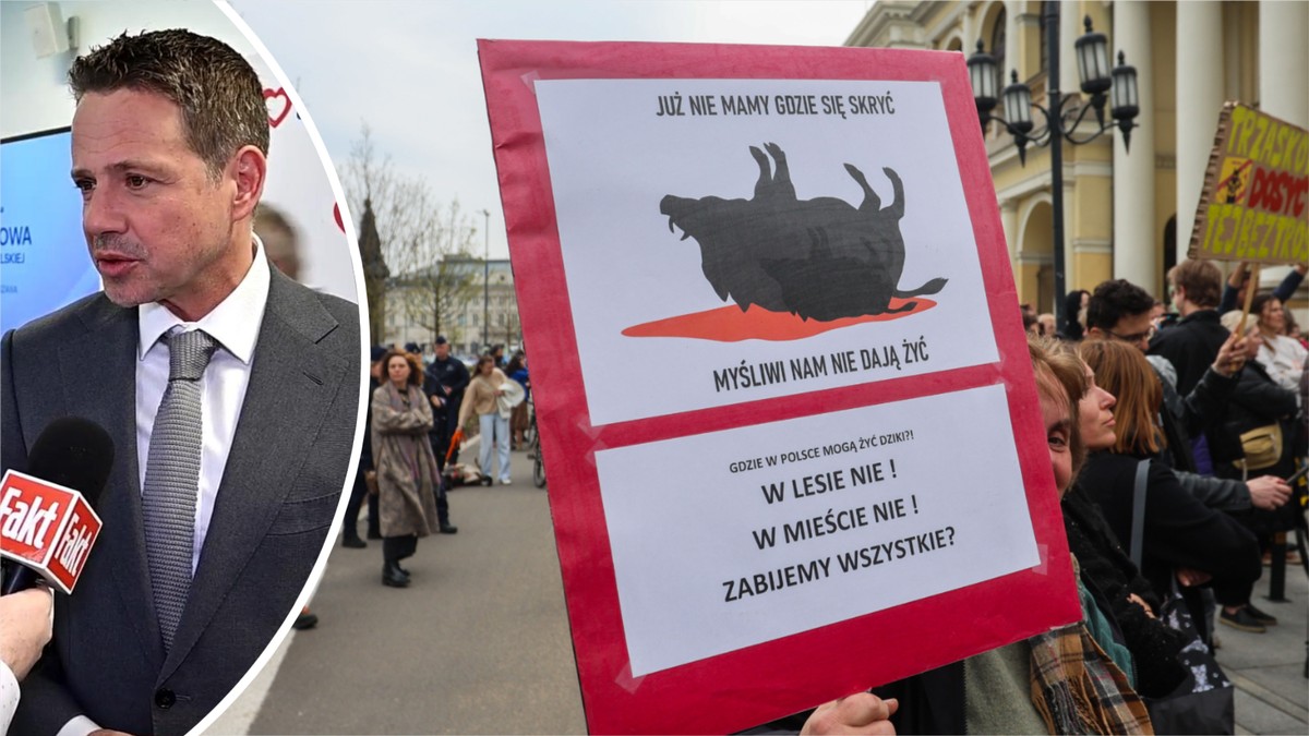 Trzaskowski ustępuje w sprawie dzików. Miasto zapowiada zmiany