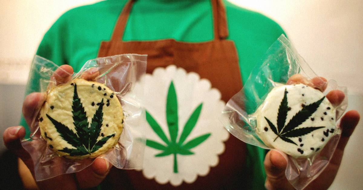 A szemünk előtt válik a kannabisz útszéli drogból, gasztronómiai ínyencséggé A szemünk előtt válik a kannabisz útszéli drogból, gasztronómiai ínyencséggé