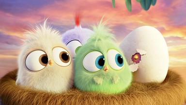 "Angry Birds": premiera filmu z udziałem kompozytora Heitora Pereiry