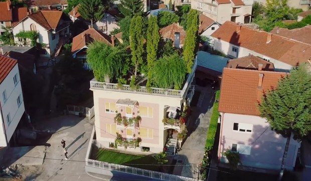 Park na krovu kuće pekara Dobrice, Pirot