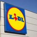 Lidl nie zwalnia tempa. W nowej inwestycji zatrudni 200 osób