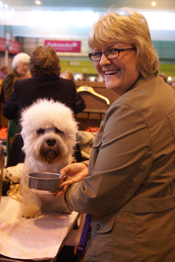 CRUFTS psy i ich właściciele