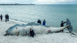 Wyczekiwany polski serial kryminalny do obejrzenia wcześniej. Niezwykła atrakcja