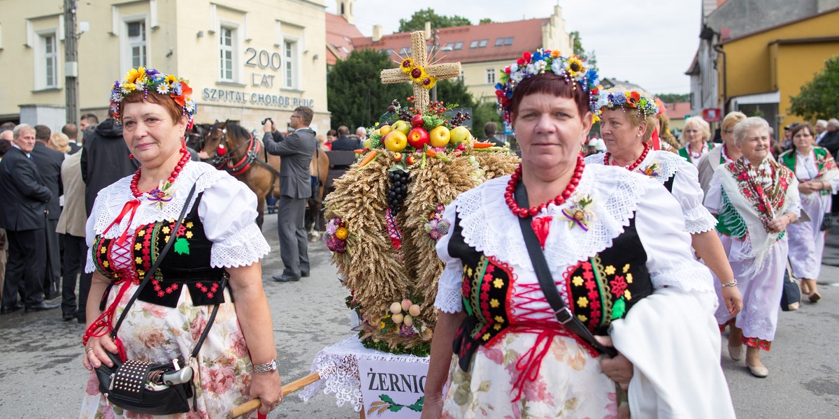 Pilchowice. Dożynki wojewódzkie 