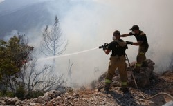 Polscy strażacy uratowali greckie miasto