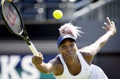 Nieudany powrót Venus Williams. Odpadła w pierwszej rundzie