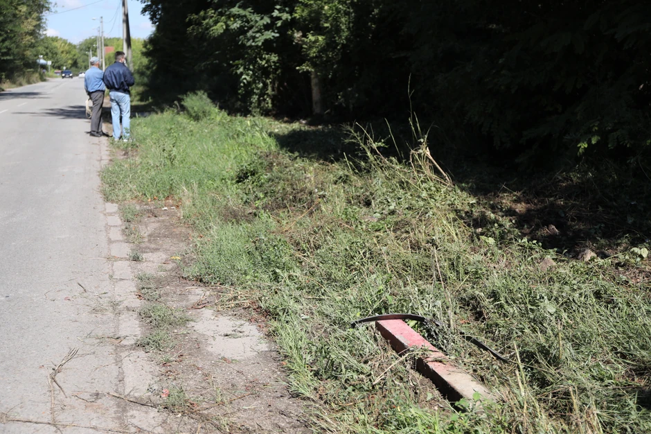 Trava kao da je ošišana