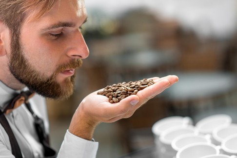 Barista checking coffee beans at the cafe