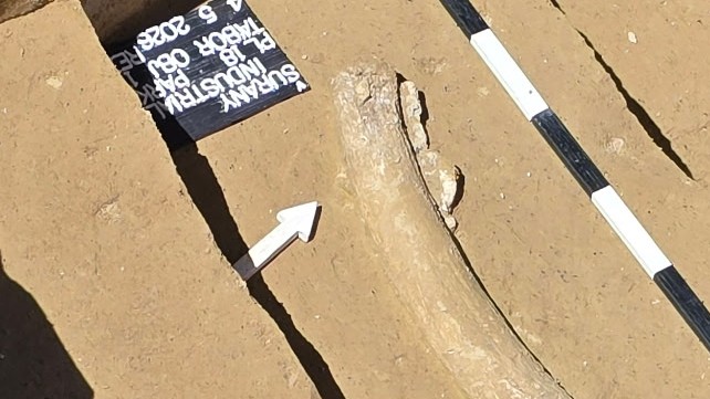 Odborníci našli fragment počas archeologického výskumu.