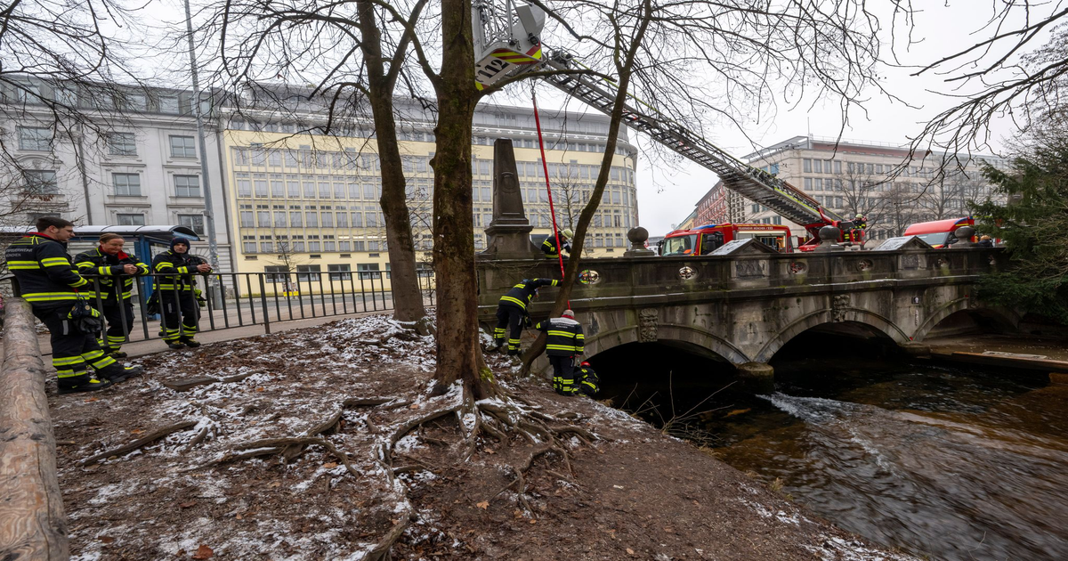Stadt-M-nchen-l-sst-wiedererrichtete-Eisbachwelle-im-Englischen-Garten-zerst-ren