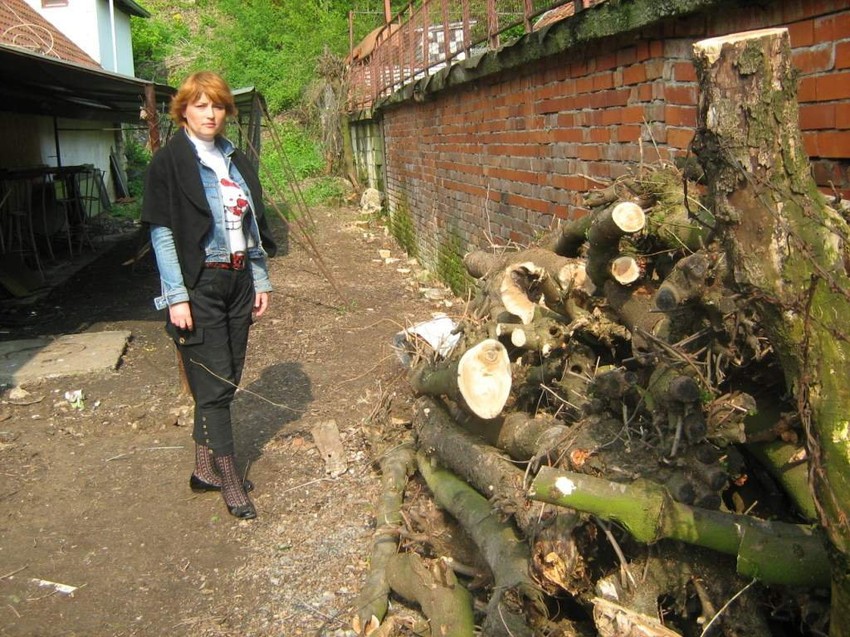 Tatjana Čitaković: Posekli su bagremar koji je moj deda zasadio 1929. godine