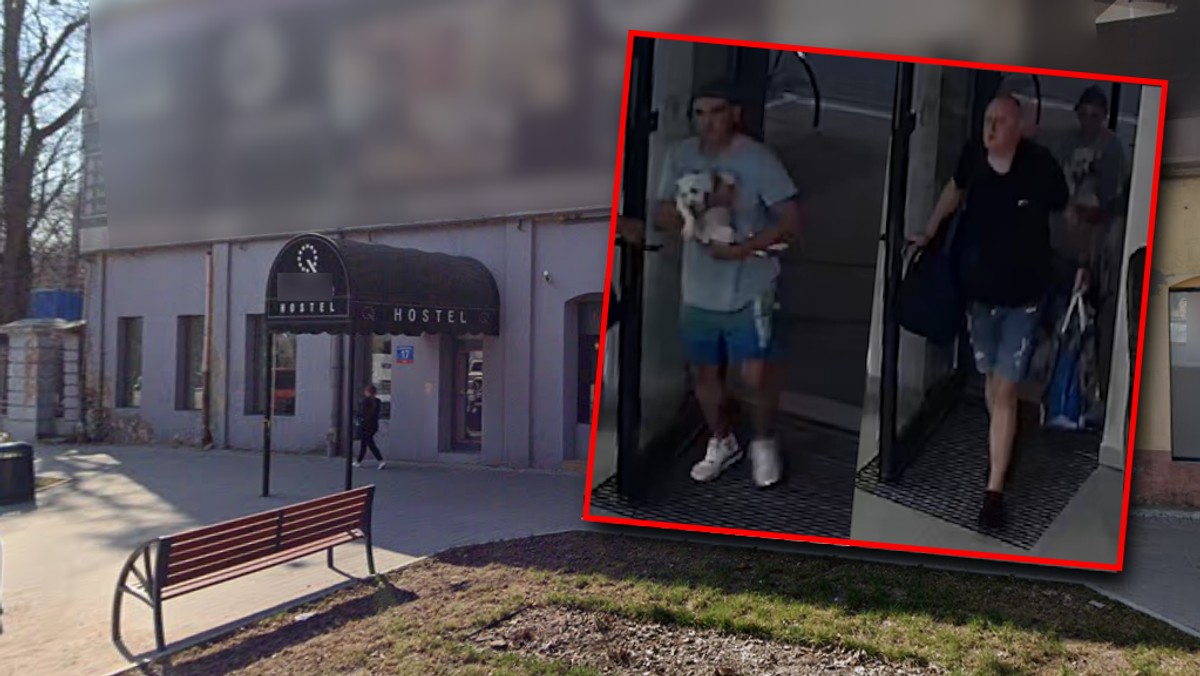 Policja poszukuje mężczyzn, którzy wyrzucili psa z okna hostelu w Łodzi [Źródło: Onet]