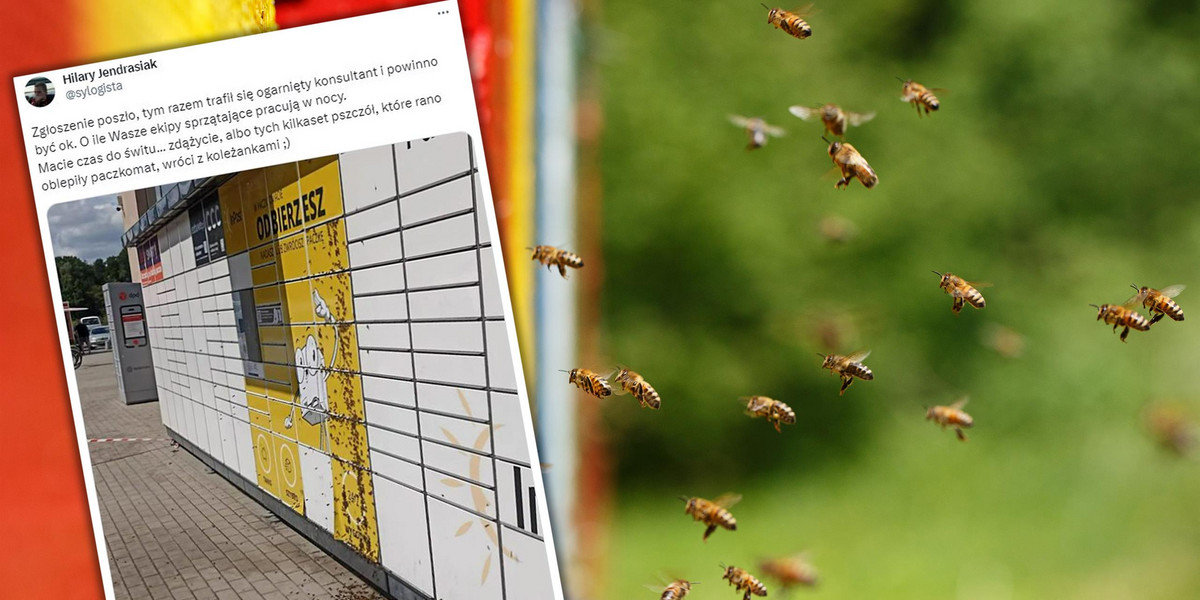 Rój pszczół obsiadł jeden z paczkomatów InPostu w Podkowie Leśnej, uniemożliwiając odbiór przesyłek. 