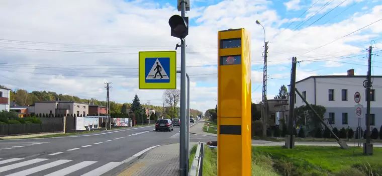 Kierowcy znaleźli lukę w prawie. Nie płacą mandatów