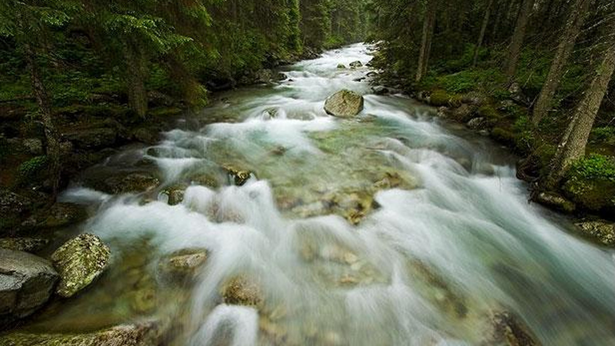 Galeria Polska - Tatry - okolice Doliny Pięciu Stawów, obrazek 1