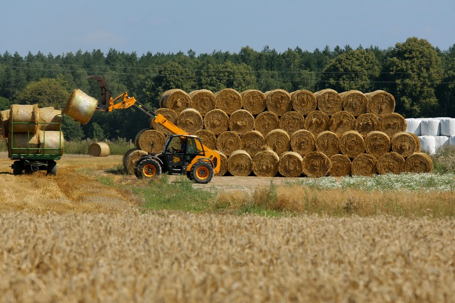 ePlantator łączy funkcjonalności aplikacji pogodowych, lokalizatora i planera