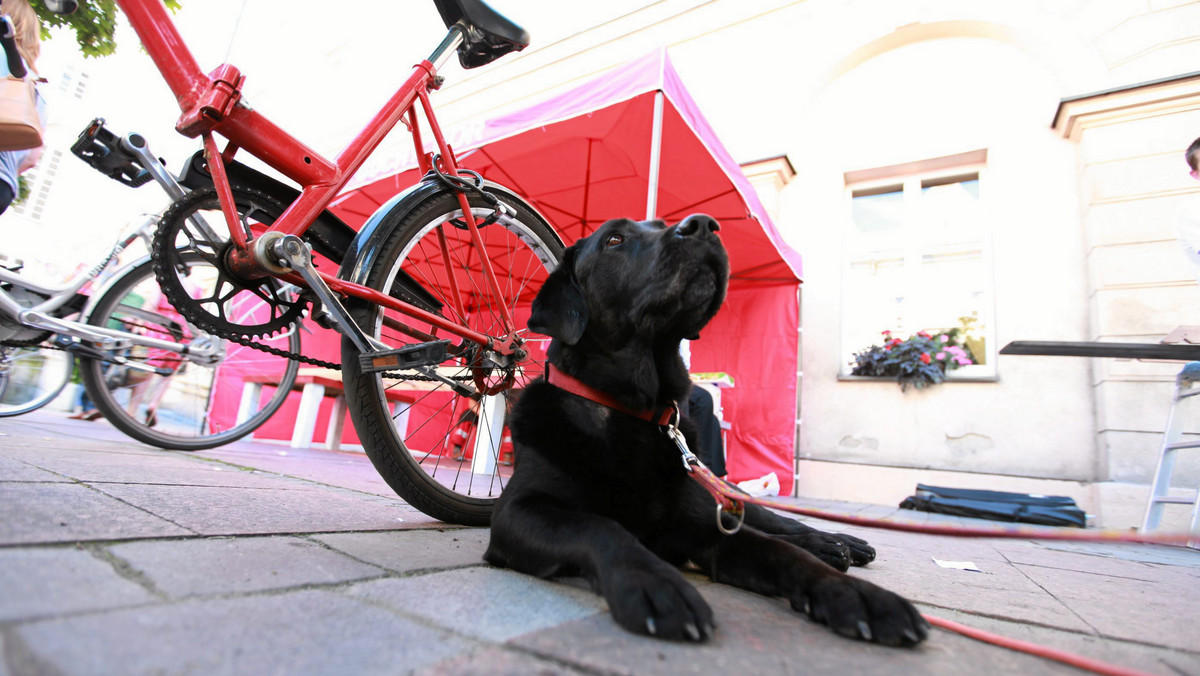 Uniwersytet Przyrodniczy we Wrocławiu obejmie opieką weterynaryjną blisko sto psów ratowniczych, służących w Ochotniczej Straży Pożarnej, WOPR oraz GOPR. We wtorek zawarto 5-letnie porozumienie w tej sprawie.