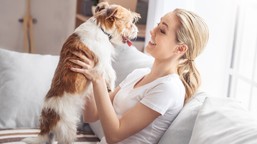 co z obowiązkowym czipowaniem psów? resorty nadal spierają się o kropi