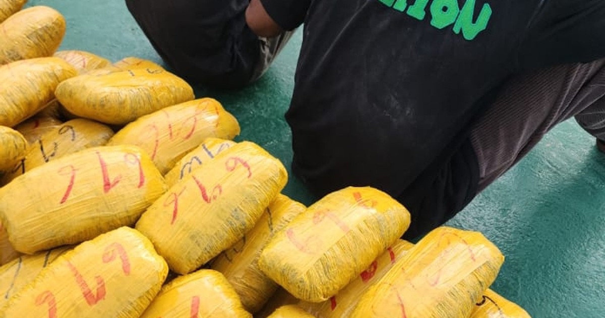 Customs intercept 553 parcels of cannabis sativa in Seme - Vimarsana News