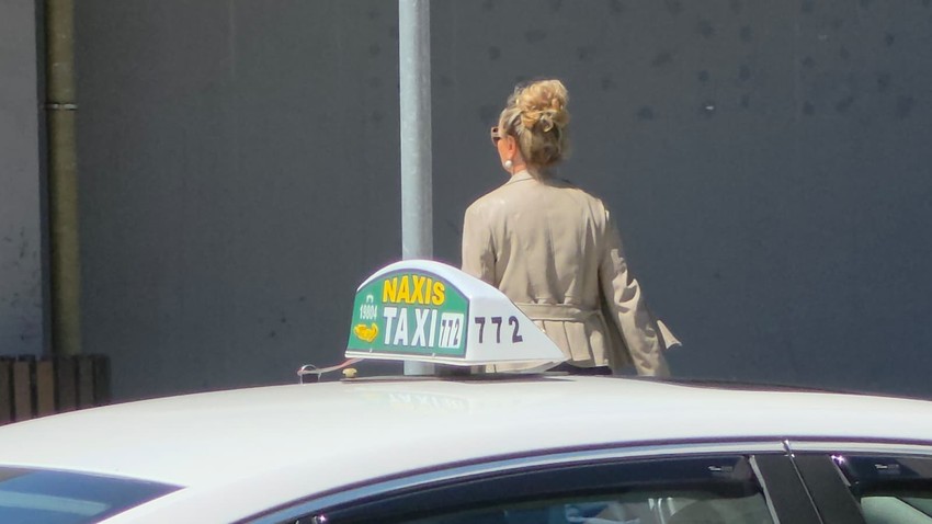 Snežana Babić Sneki