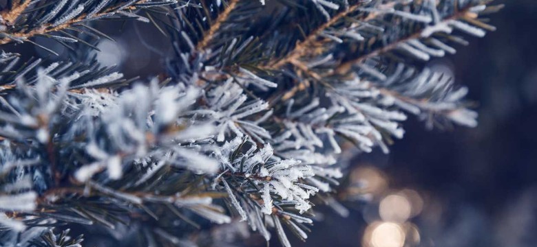 Dalej mroźno, w nocy lokalnie nawet minus 19 stopni. PROGNOZA POGODY
