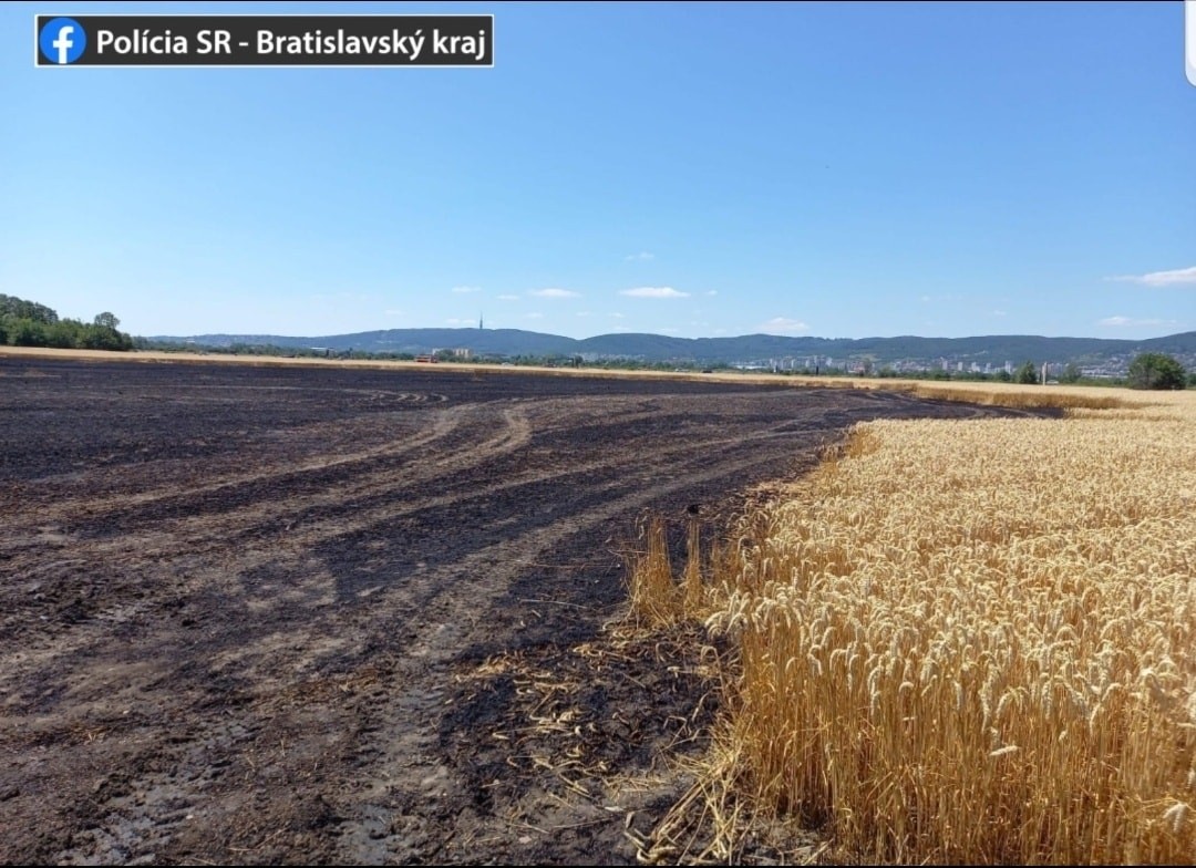 Požiar mal vypuknúť krátko pred 13.00 h v blízkosti Rybničnej ulice.