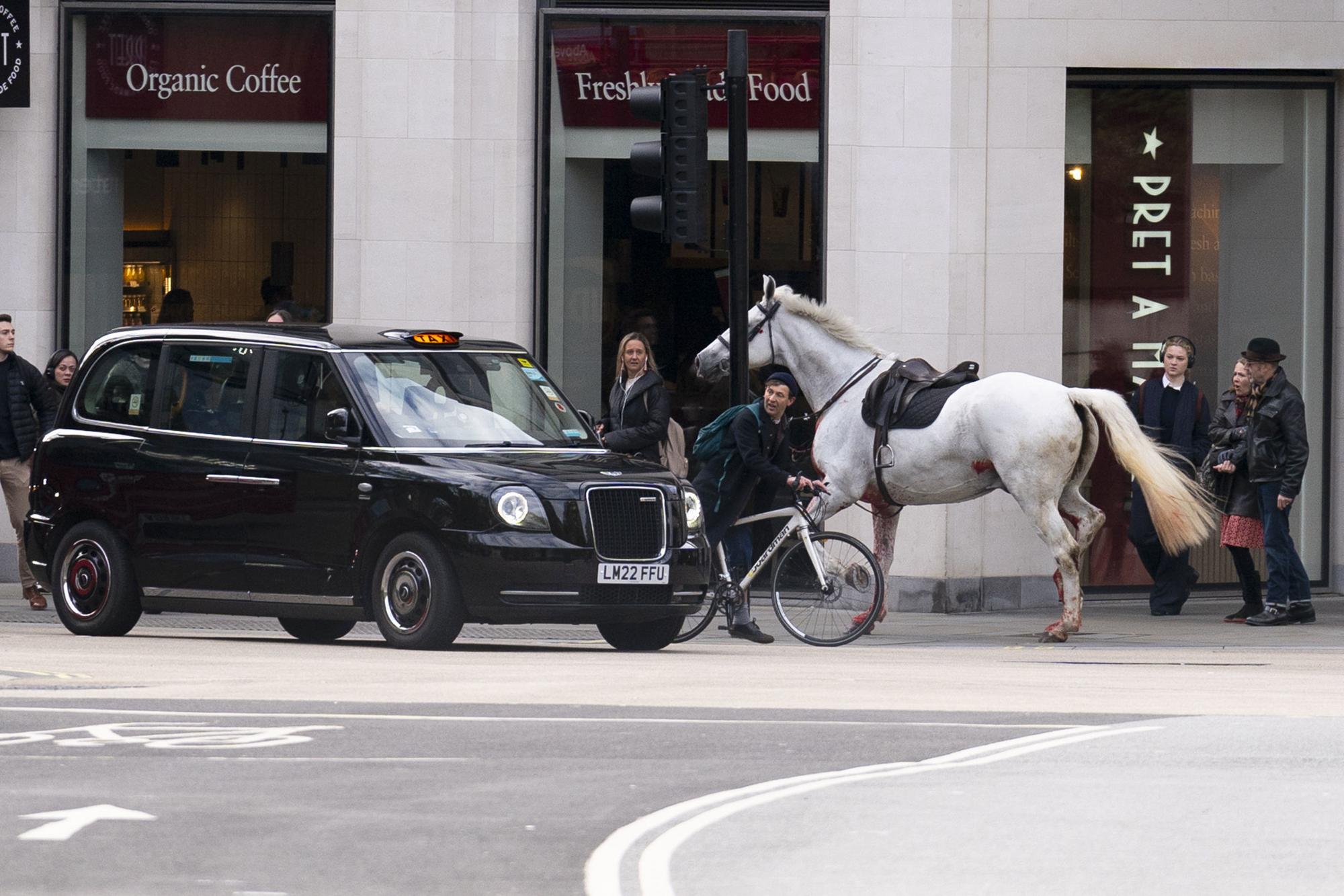 Ulicami Londýna sa preháňali splašené armádne kone.