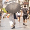 Ekstremne vrućine remete termoregulaciju organizma 