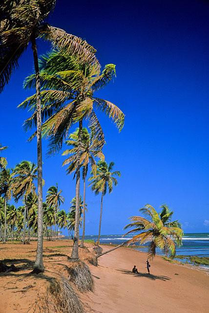 Galeria Brazylia - najpiękniejsze plaże, obrazek 31