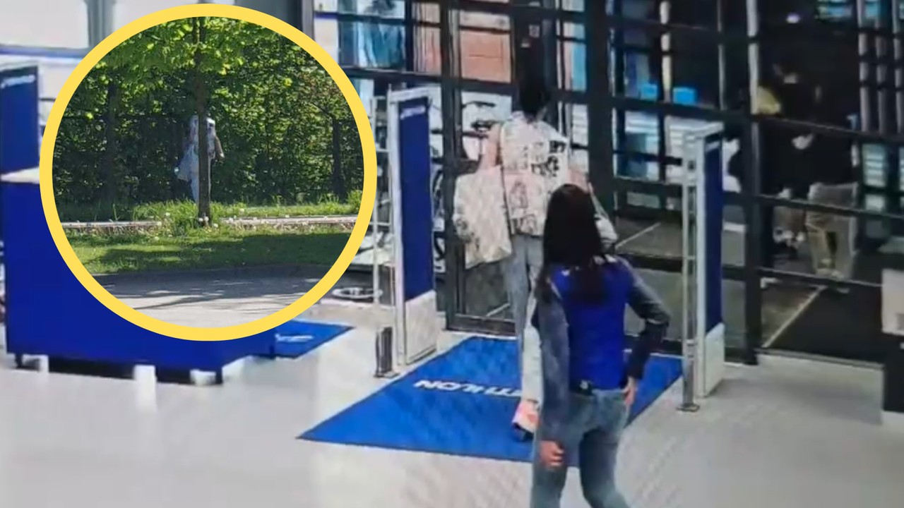 Wyniosła ze sklepu części rowerowe. Uciekając przed policją, udawała drzewo