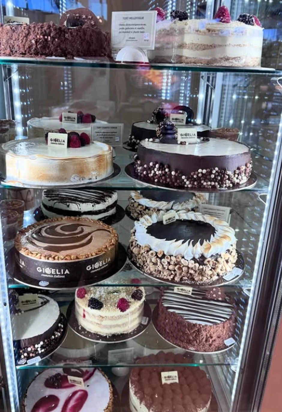 Luna i Marko na odmoru