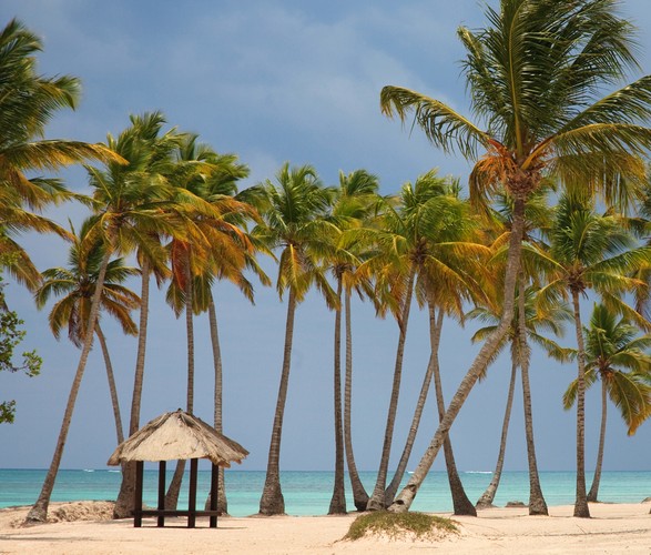 Punta Cana to najdalej na wschód wysunięty przylądek Dominikany. Znany z plaż o białym piasku popularny region turystyczny.