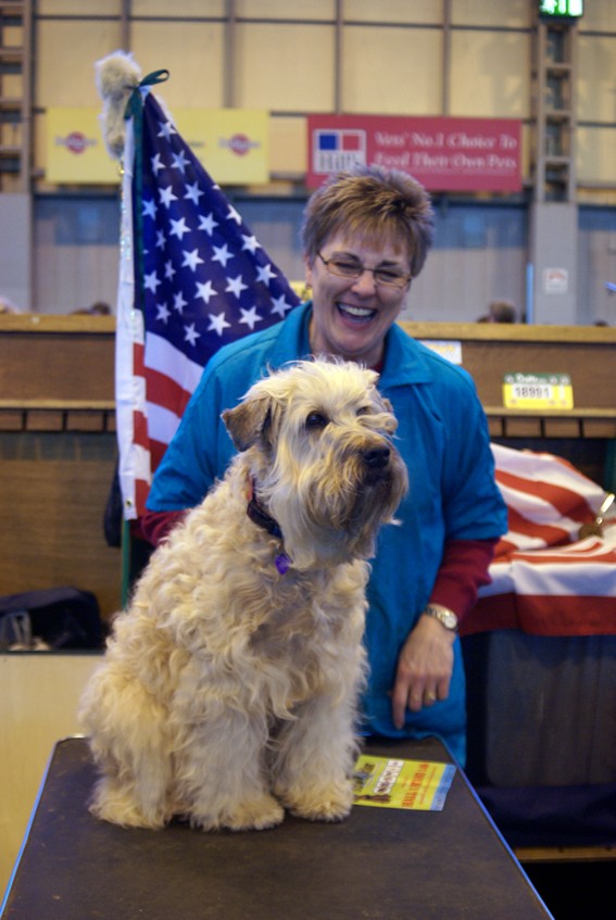 CRUFTS psy i ich właściciele