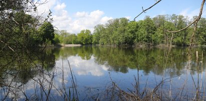 Mieszkańcy Falent boją się, że w enklawie przyrody stanie osiedle mieszkaniowe. "Będziemy bronić rezerwatu!"