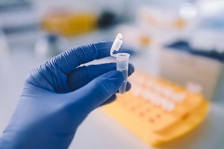 Epidemiolog: Nowy subwariant Centaurus tak samo zaraźliwy, jak Omikron