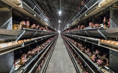 'Rz': Śmierdzące sąsiedztwo, tylko jeśli plan miejscowy zezwoli