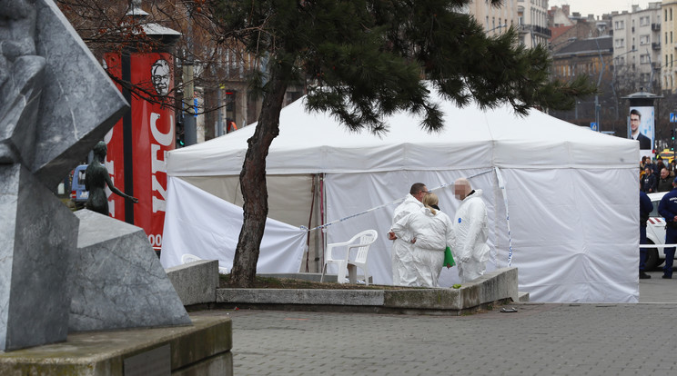 Halott őröket találtak a Deák téren, a választási aláírásgyűjtő sátorban/Fotó: Fuszek Gábor