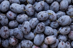 Producentom już się przejadła zdrowa żywność