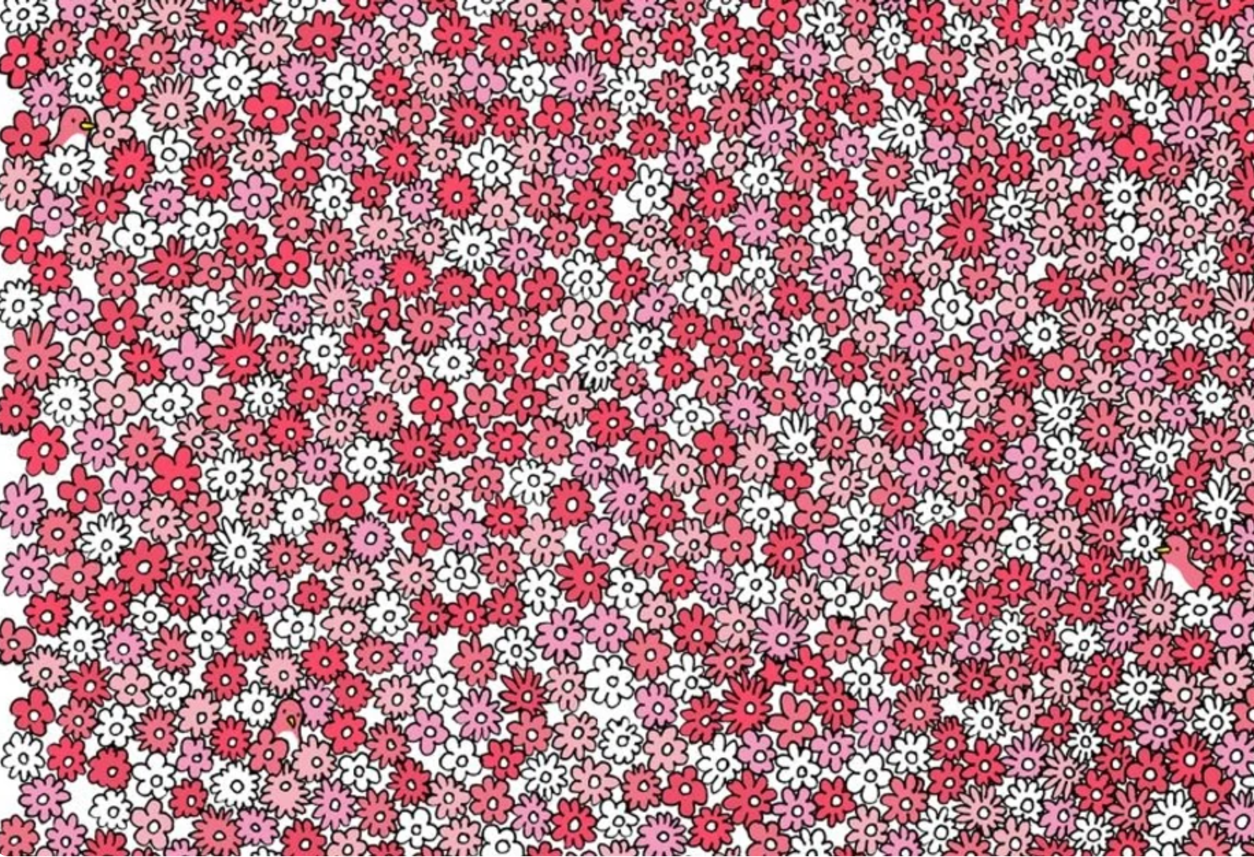 Poriadne si tento obrázok prezrite a nenechajte sa oklamať detailmi. 