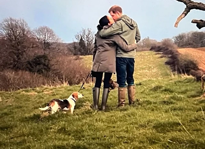 Netfliksova serija "Hari i Megan" foto:  BACKGRID/Backgrid UK