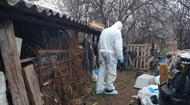 A nő gyermekét a képen látható fészerben szülte meg, majd ölte meg – ezután leült kávézni, mintha mi sem történt volna /Fotó: Isza Ferenc