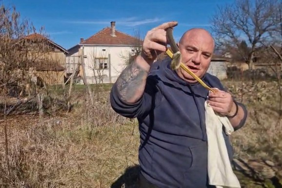 RANO PROLEĆE PROBUDILO ZMIJE Prva intervencija zmijolovca kod Vladičinog Hana, evo šta treba da uradite ako ih sretnete