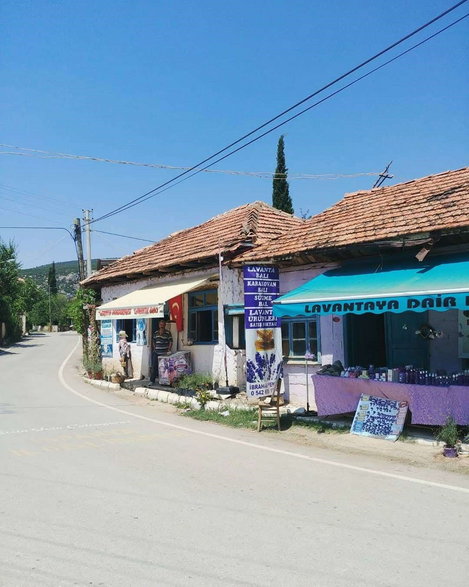 Lawendowa wioska w Turcji